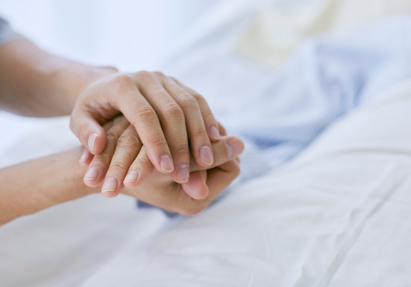 formation-bientraitance